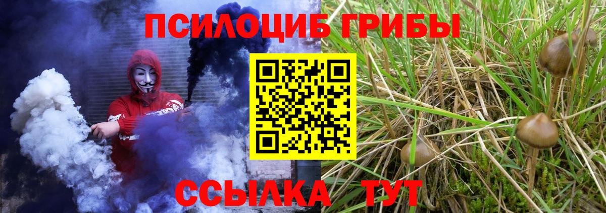 Галлюциногенные грибы мицелий Грязи