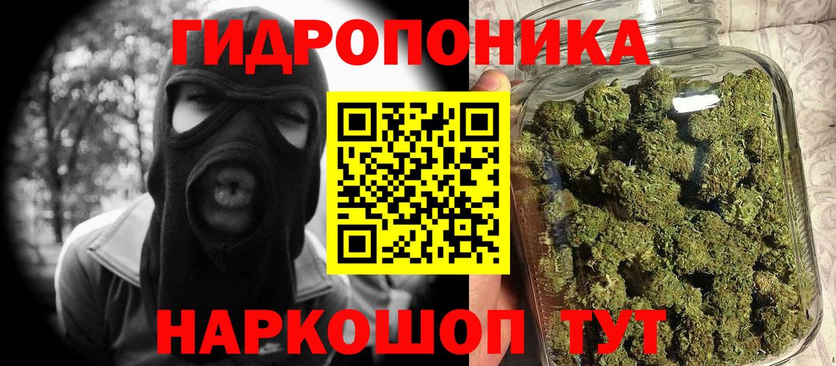 Марихуана сатива Грязи